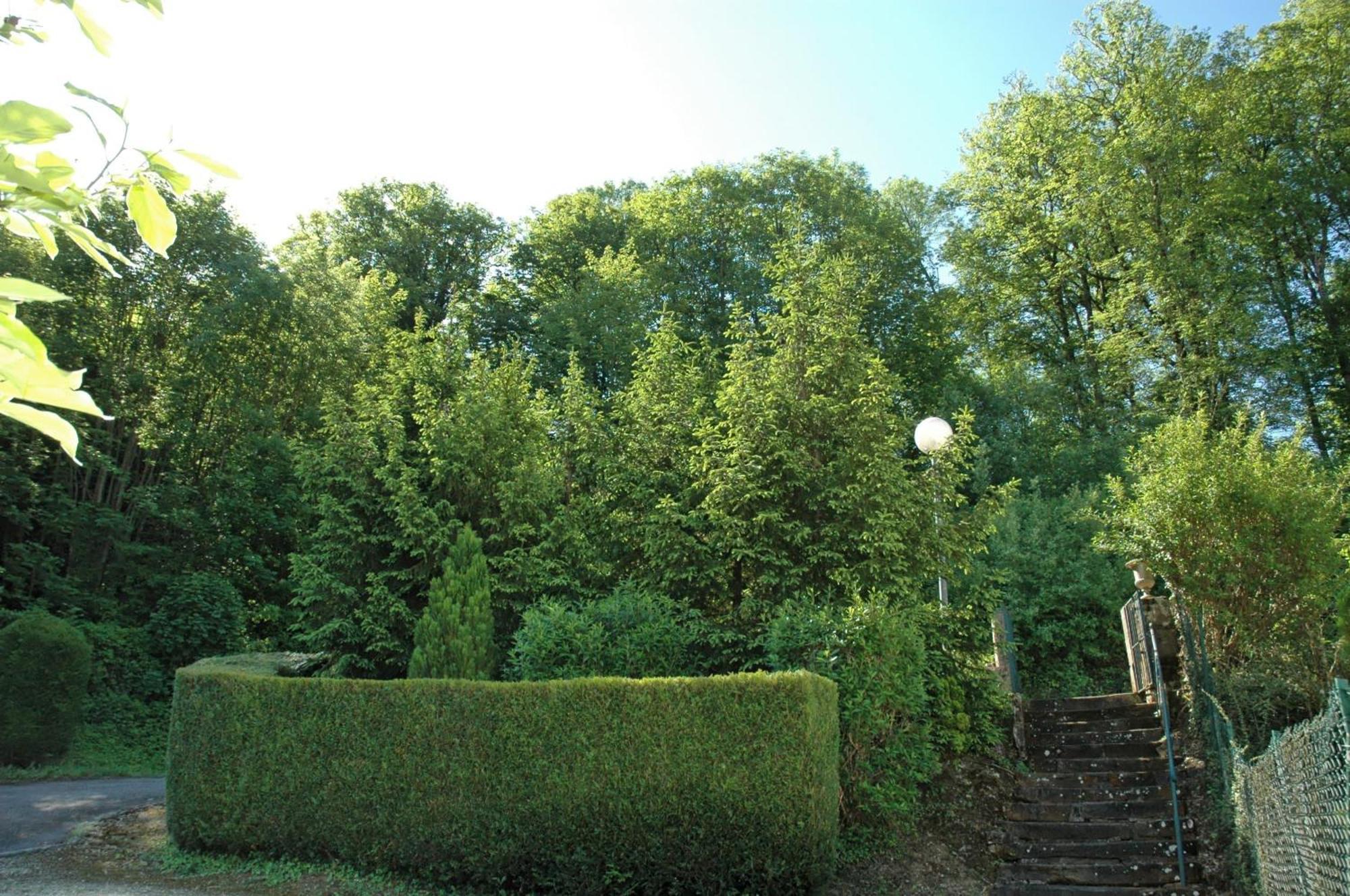 Hotel Et Studios D'Orfeuil Bourbonne-les-Bains Exteriér fotografie