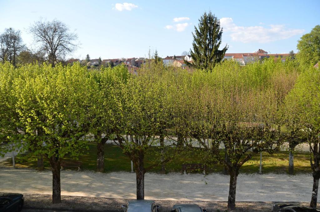 Hotel Et Studios D'Orfeuil Bourbonne-les-Bains Pokoj fotografie