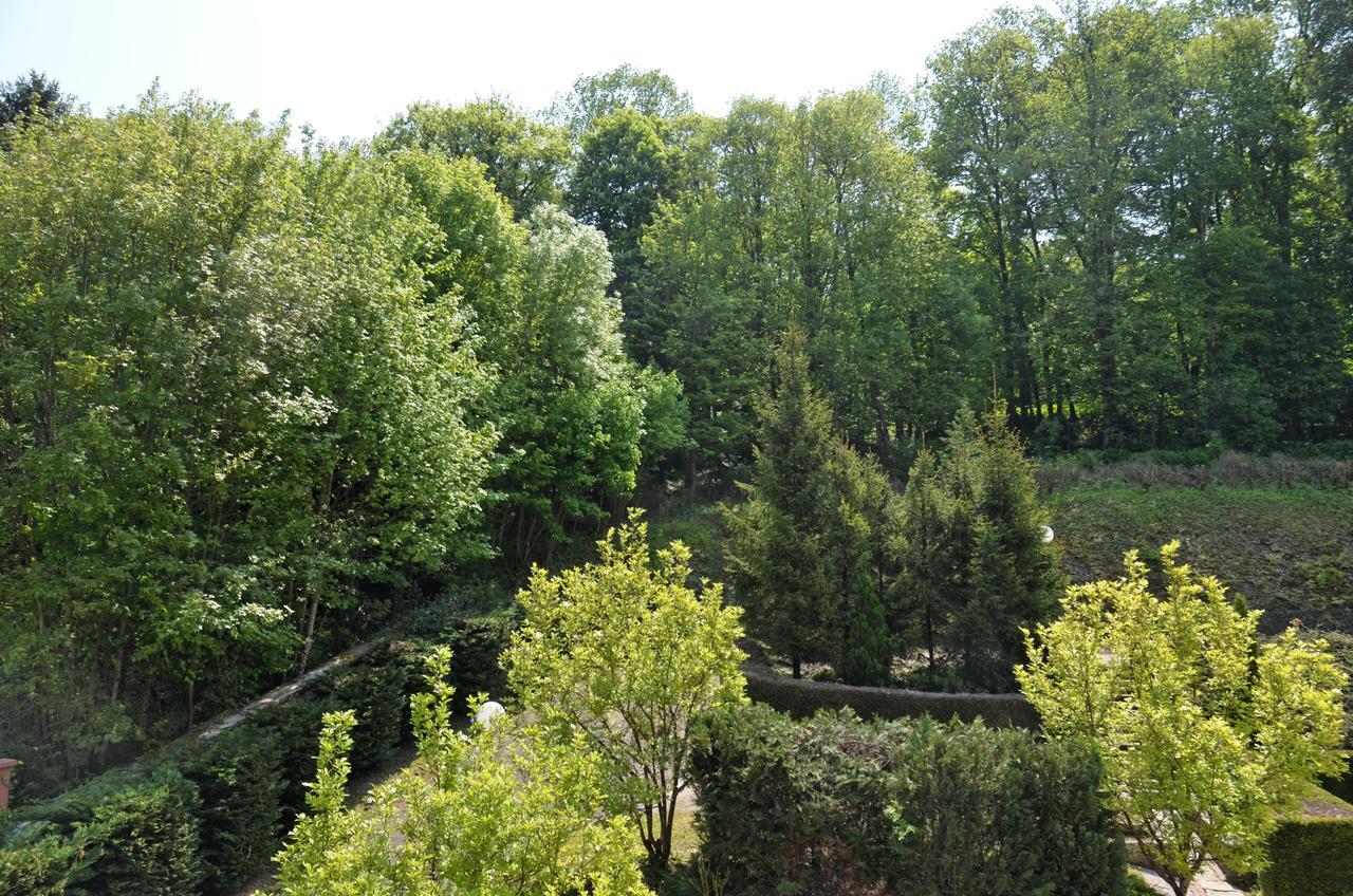 Hotel Et Studios D'Orfeuil Bourbonne-les-Bains Exteriér fotografie