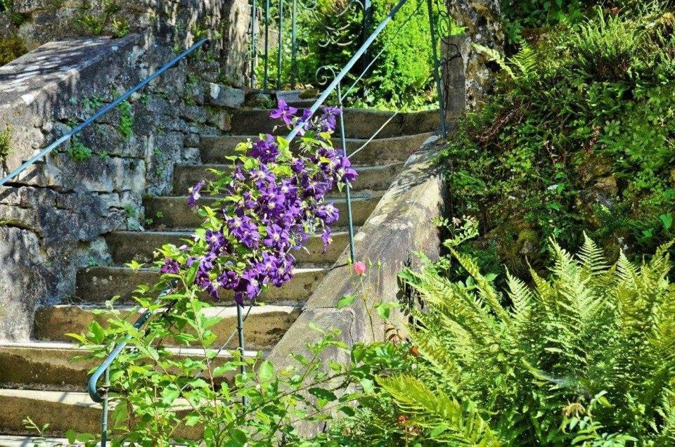 Hotel Et Studios D'Orfeuil Bourbonne-les-Bains Exteriér fotografie